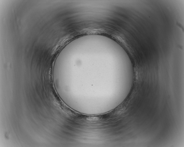 X0000103170357200808221133
