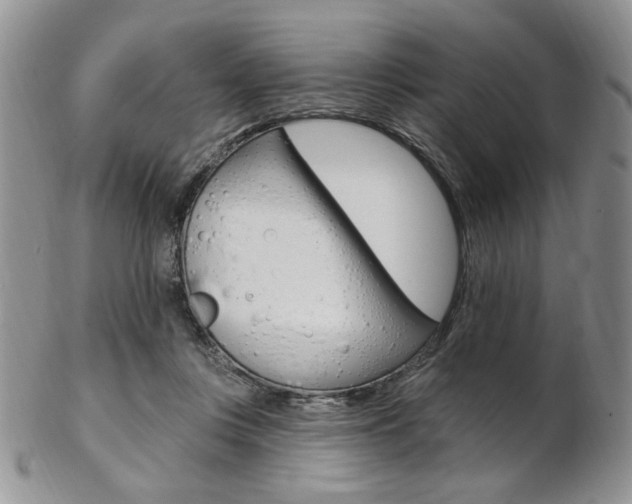 X0000103170359200808221133