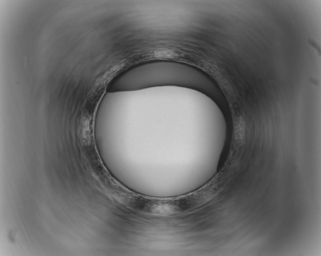 X0000103170360200808221133