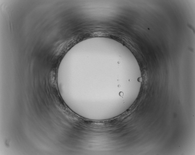 X0000103170361200808221133