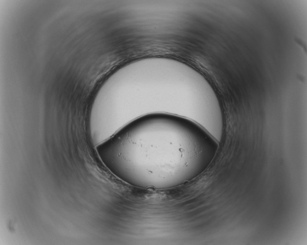 X0000103170362200808221133