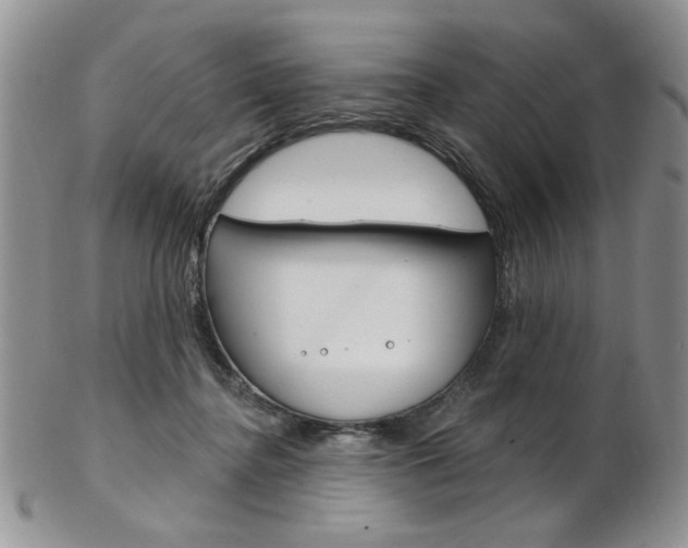 X0000103170364200808221133