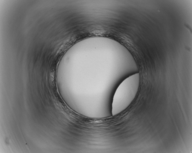 X0000103170365200808221133