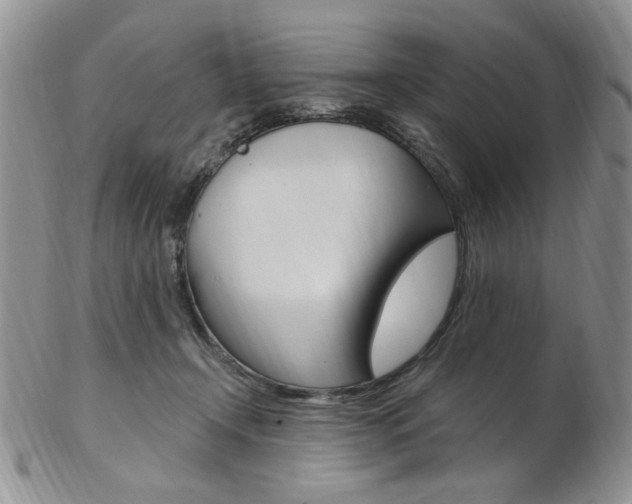 X0000103170366200808221133