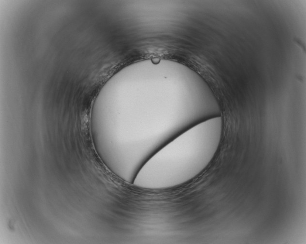 X0000103170369200808221133