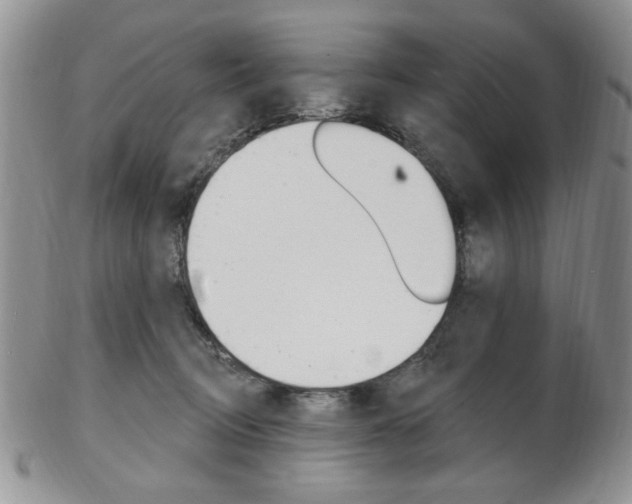 X0000103170370200808221133