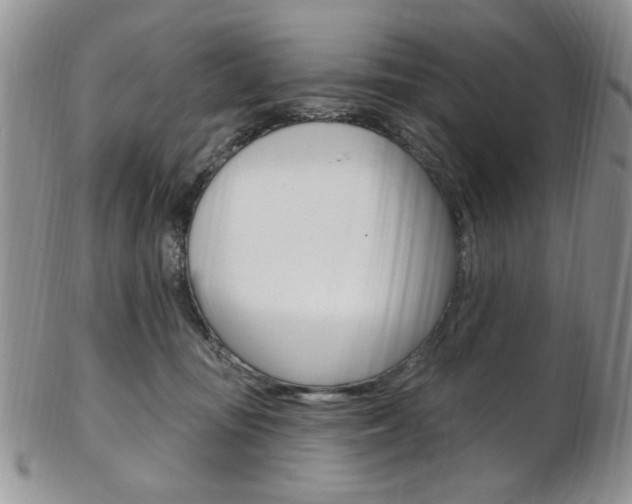 X0000103170371200808221134