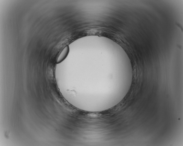 X0000103170375200808221134