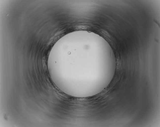 X0000103170377200808221134