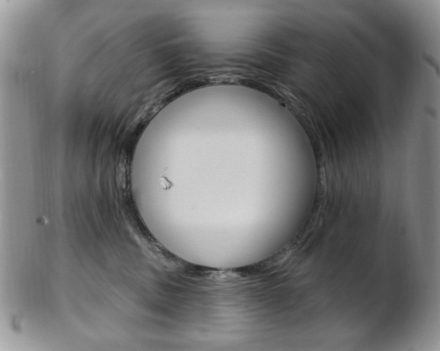 X0000103170379200808221134