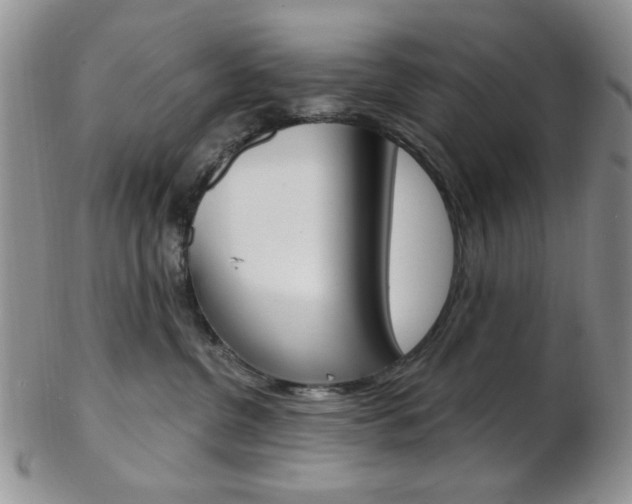 X0000103170380200808221134