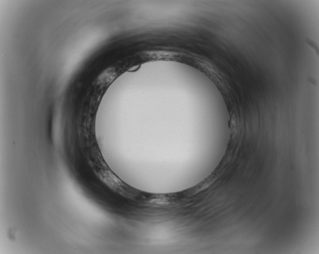 X0000103170381200808221134