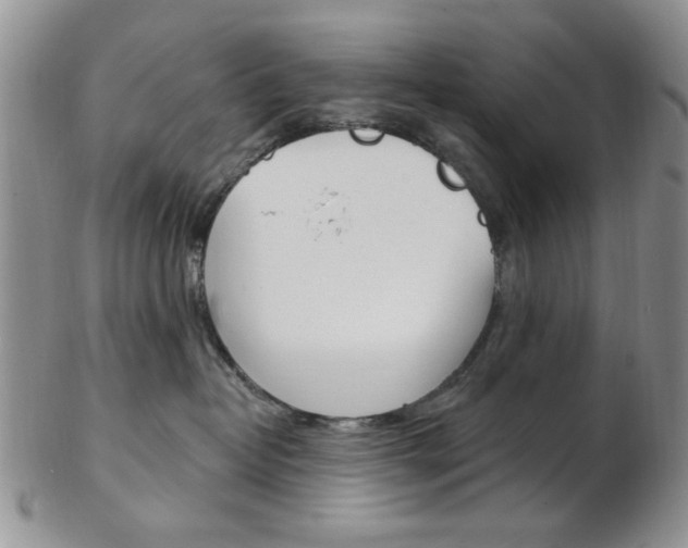 X0000103170382200808221134