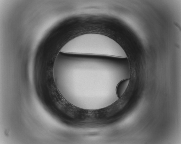 X0000103170383200808221134