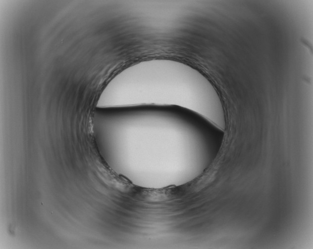 X0000103170384200808221134