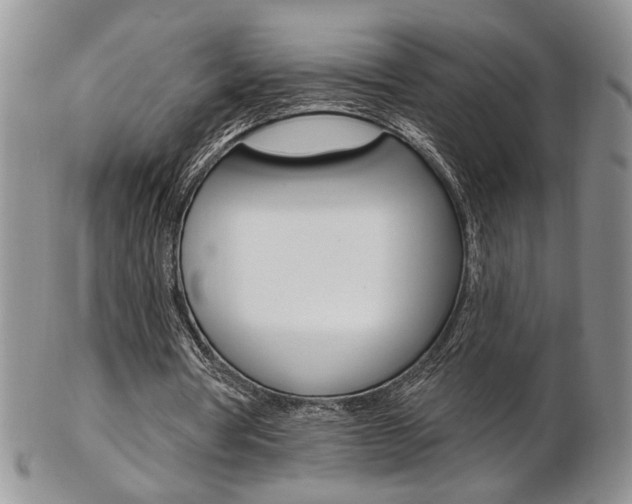 X0000103170386200808221133