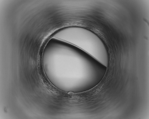 X0000103170388200808221133