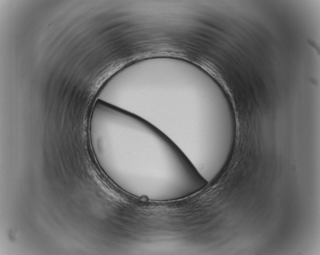 X0000103170389200808221133