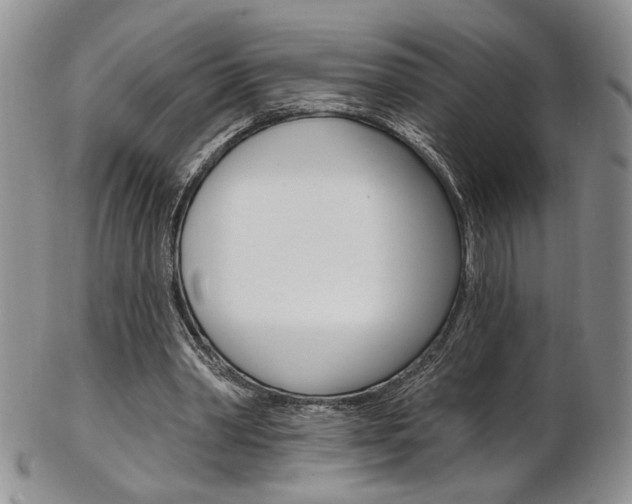 X0000103170390200808221133