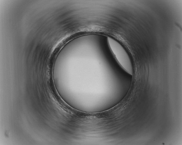 X0000103170392200808221133
