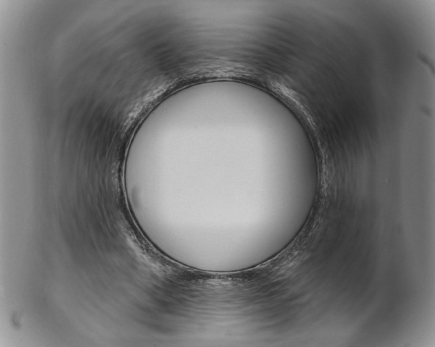 X0000103170394200808221133