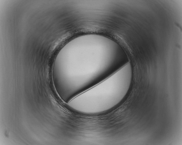 X0000103170396200808221133