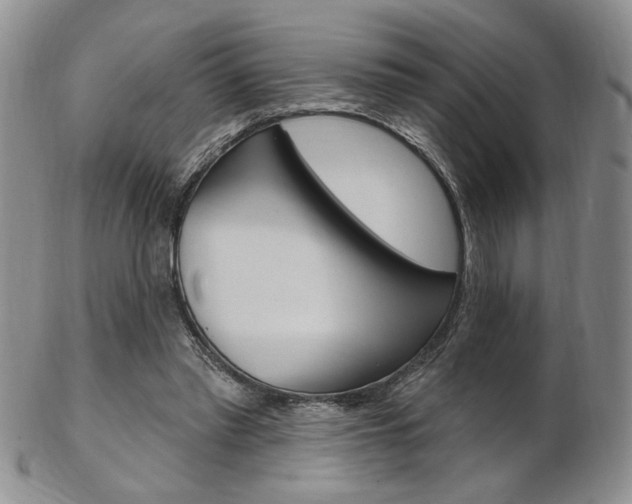 X0000103170397200808221133