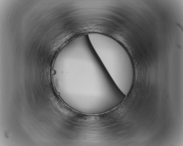 X0000103170398200808221133
