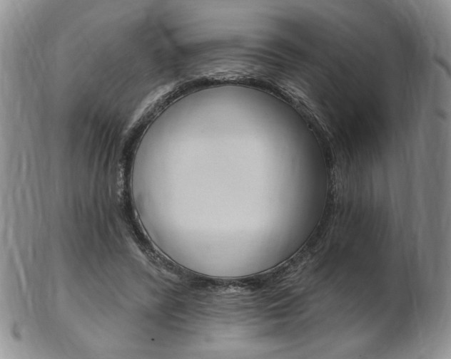 X0000103170400200808221133