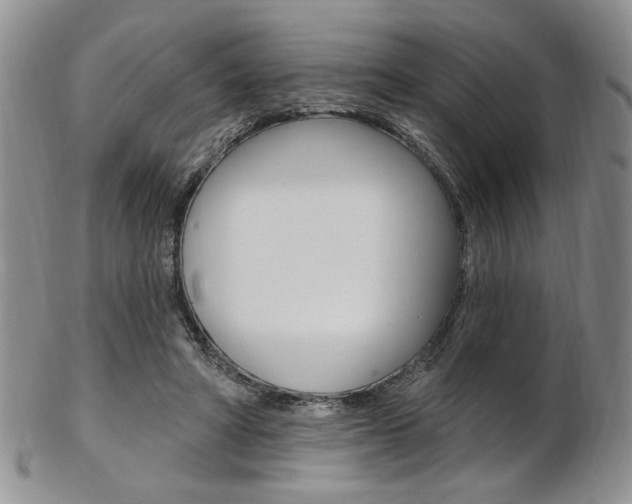 X0000103170402200808221133