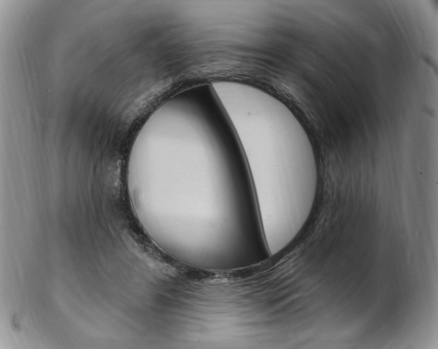 X0000103170404200808221133
