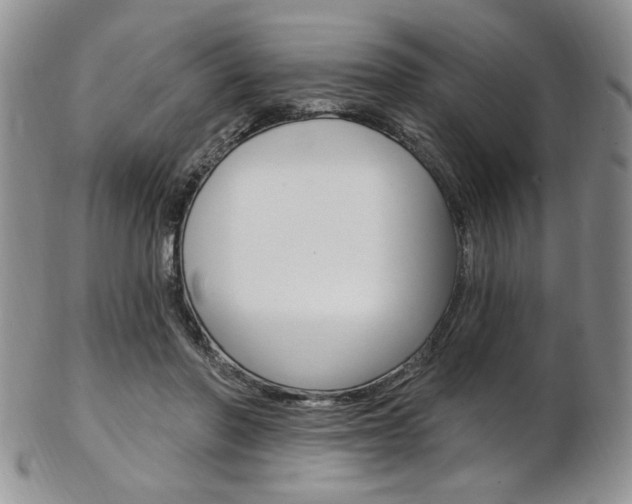 X0000103170406200808221133