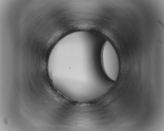 X0000103170407200808221133