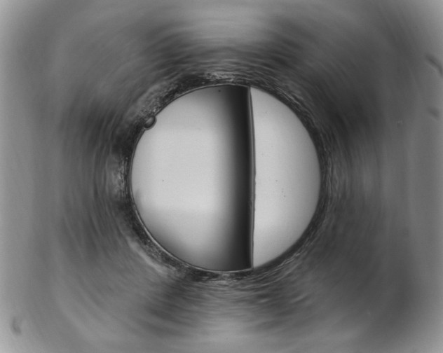 X0000103170408200808221133