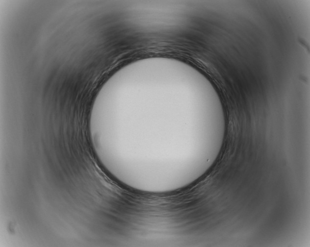 X0000103170409200808221133
