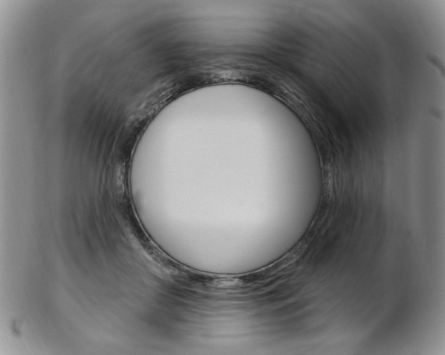 X0000103170410200808221133