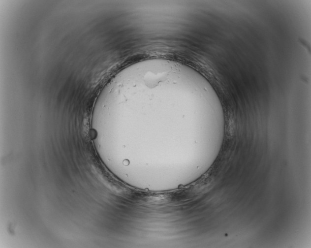 X0000103170411200808221133