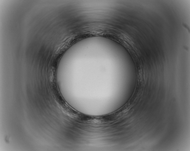 X0000103170412200808221133