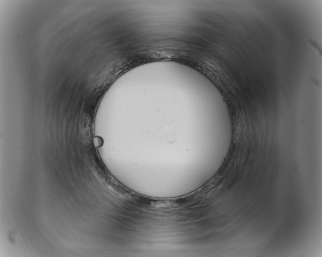 X0000103170414200808221133