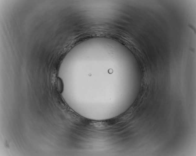 X0000103170417200808221133
