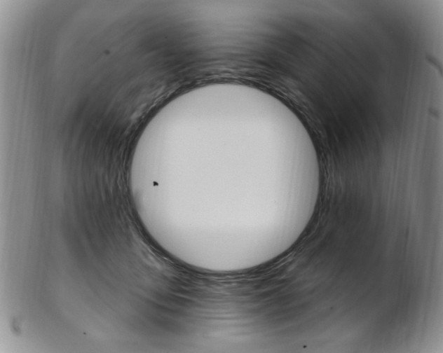 X0000103170419200808221133