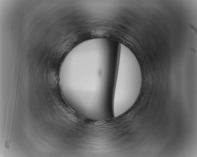 X0000103170420200808221133