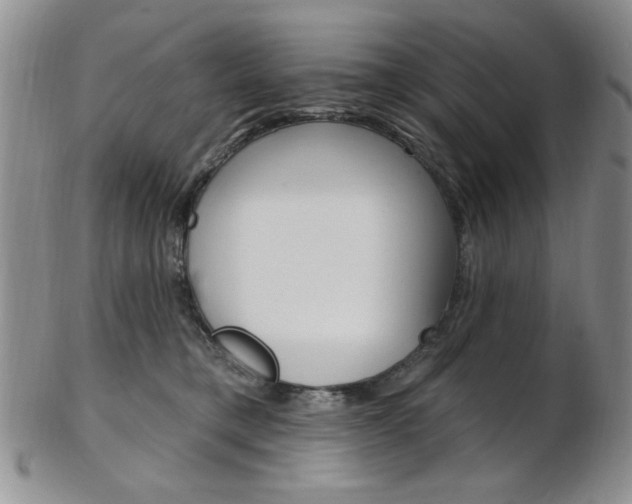 X0000103170421200808221133