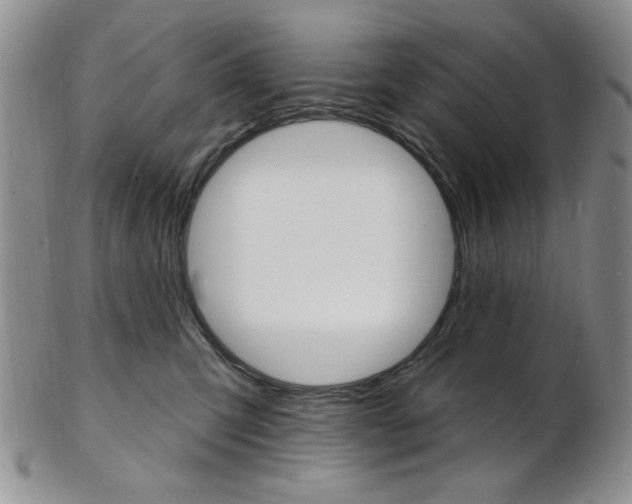 X0000103170423200808221132
