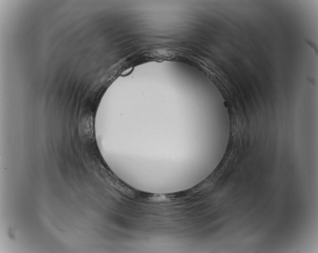 X0000103170425200808221132