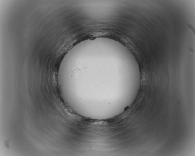 X0000103170426200808221132