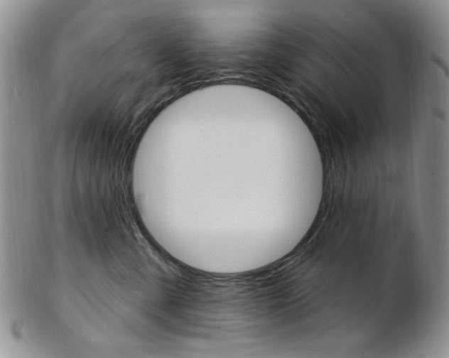 X0000103170427200808221132