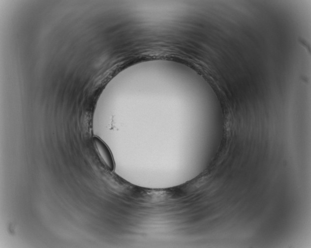 X0000103170428200808221132