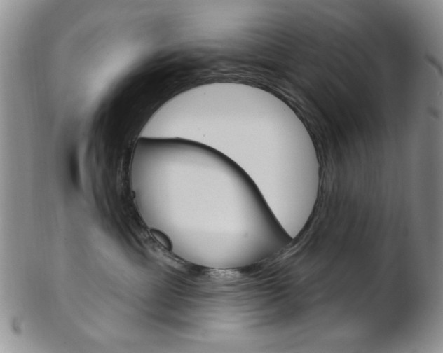 X0000103170429200808221132