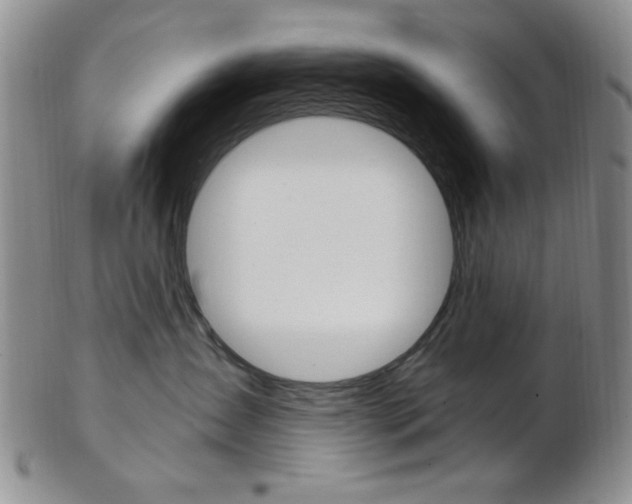 X0000103170431200808221132